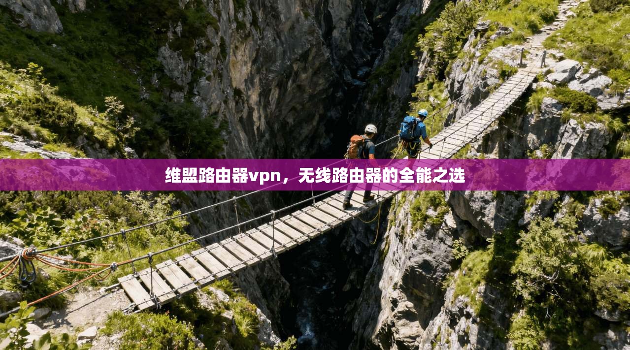维盟路由器vpn，无线路由器的全能之选