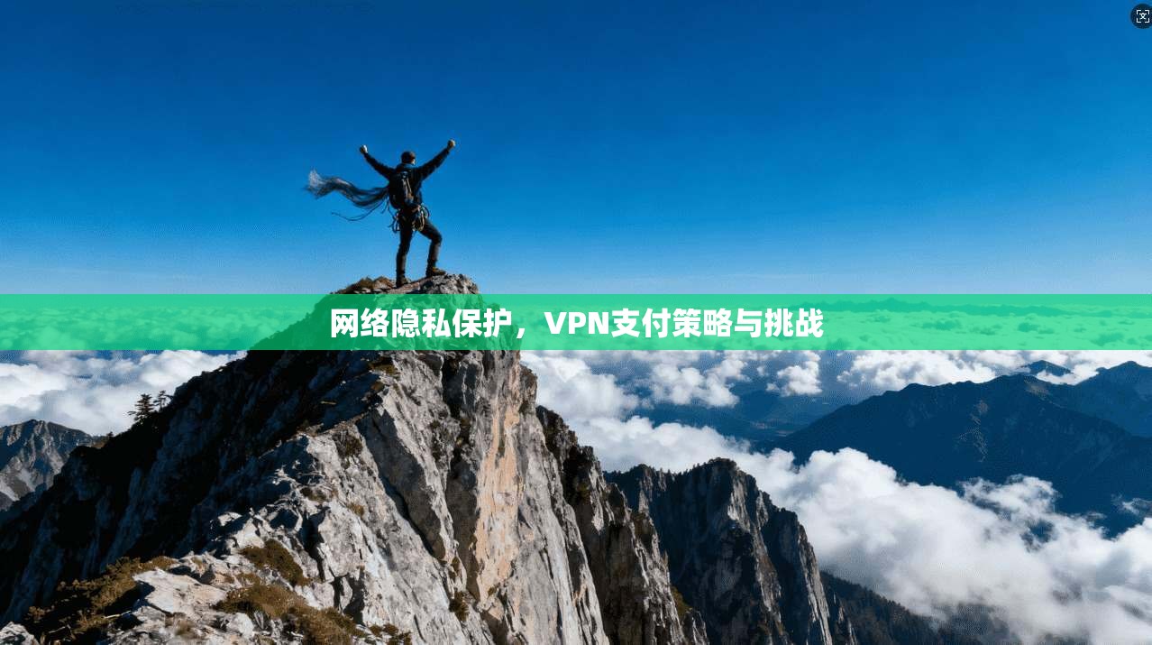 网络隐私保护，VPN支付策略与挑战