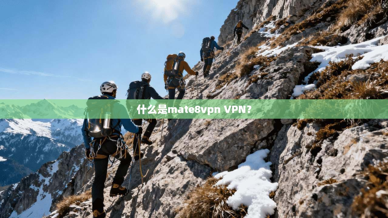 什么是mate8vpn VPN？