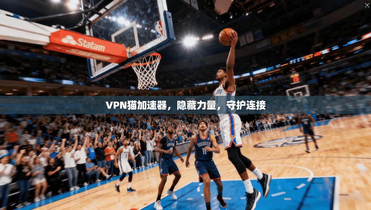 VPN猫加速器，隐藏力量，守护连接