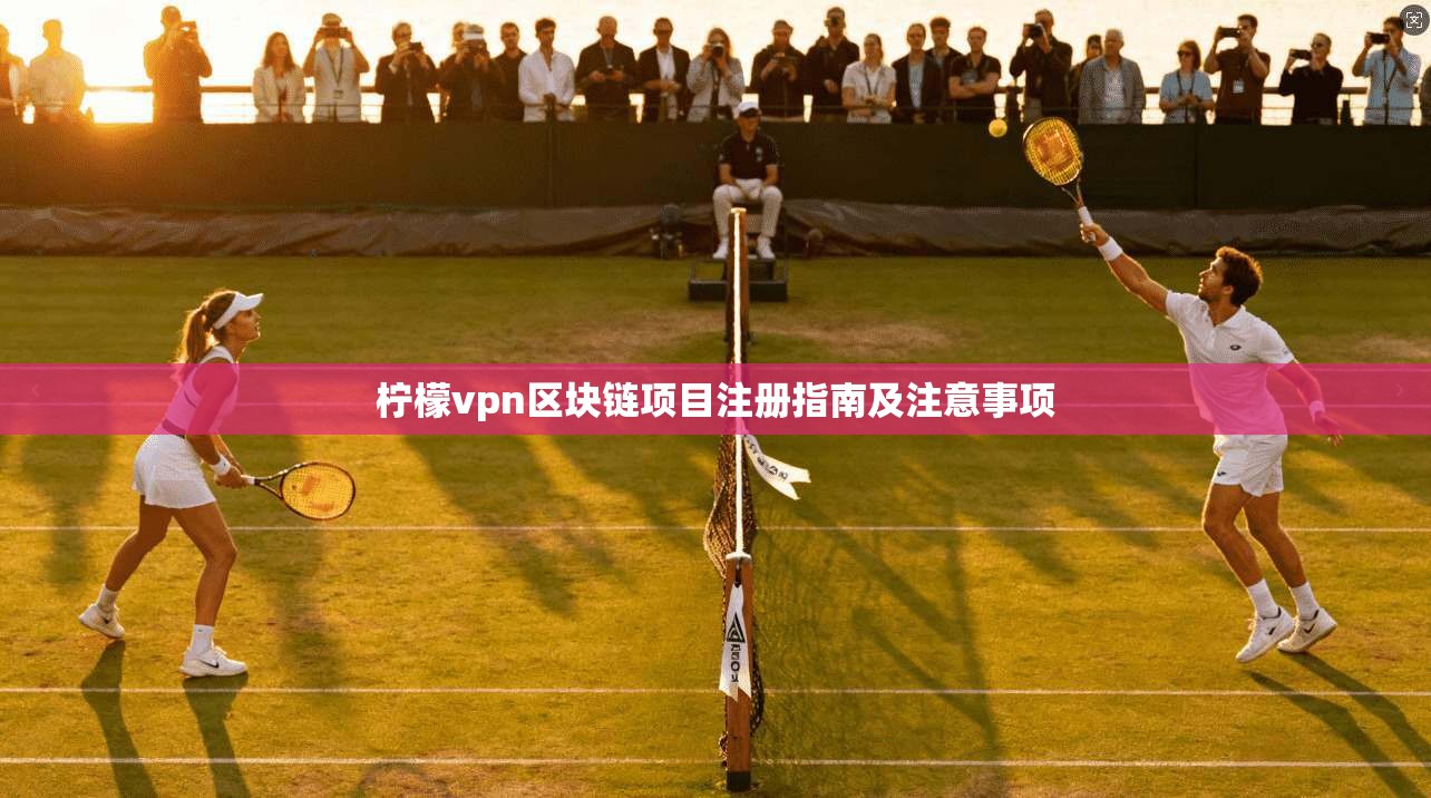 柠檬vpn区块链项目注册指南及注意事项  第1张