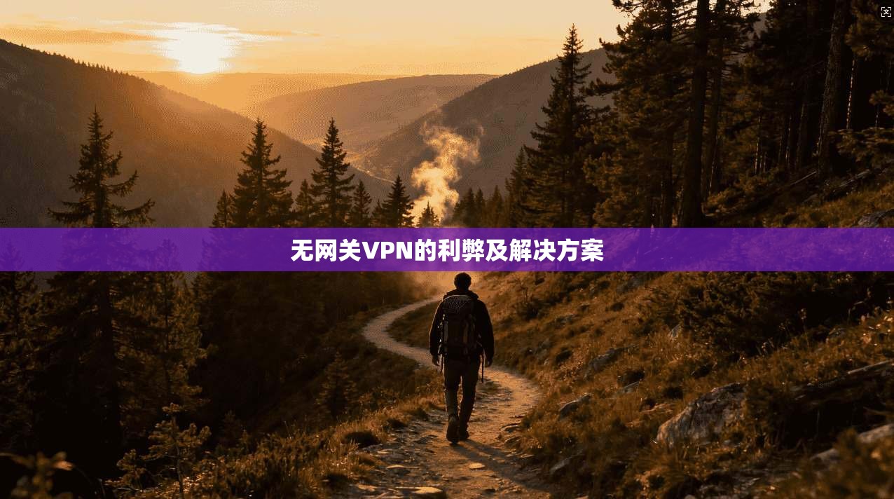 无网关VPN的利弊及解决方案  第1张