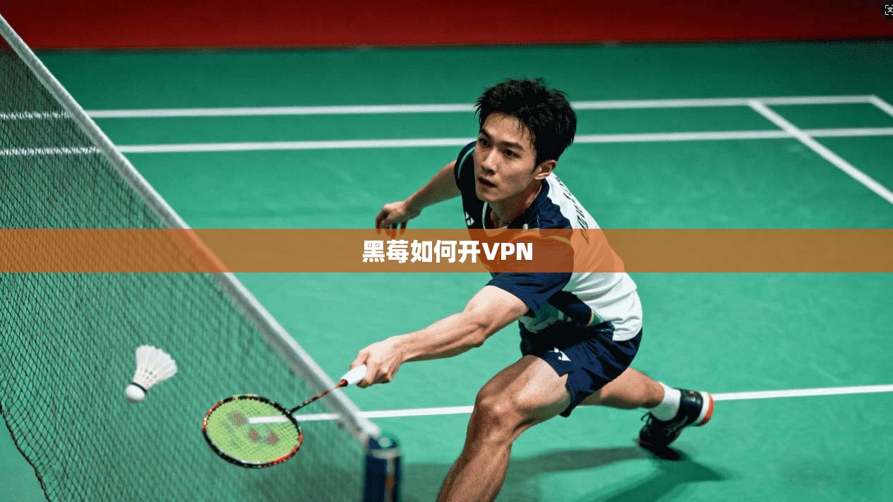 黑莓如何开VPN  第1张