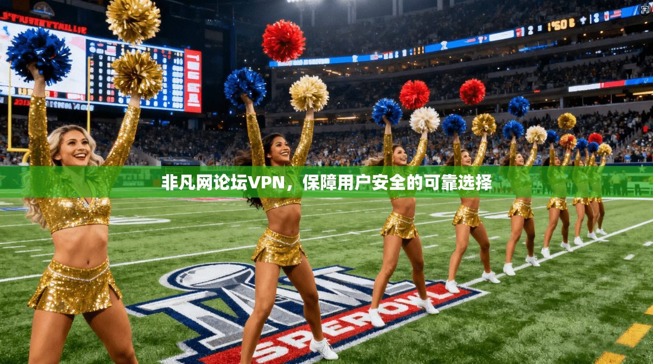 非凡网论坛VPN，保障用户安全的可靠选择