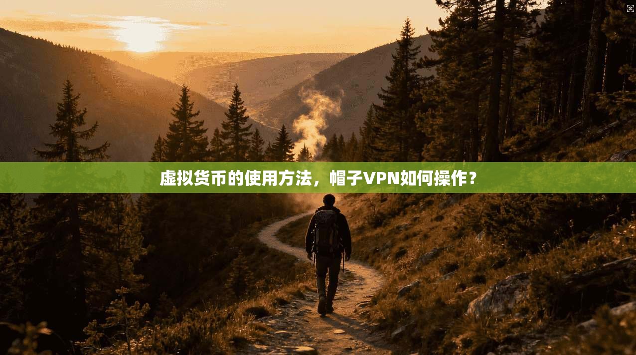 虚拟货币的使用方法，帽子VPN如何操作？