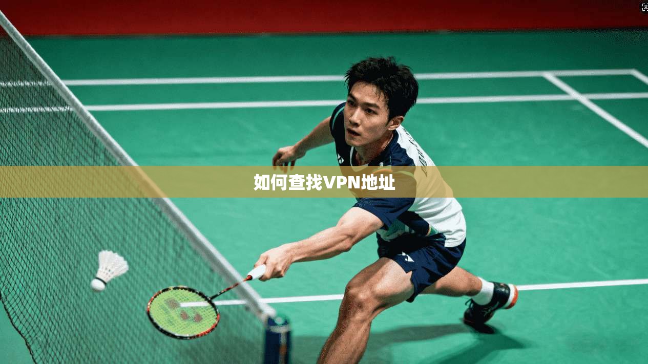 如何查找VPN地址
