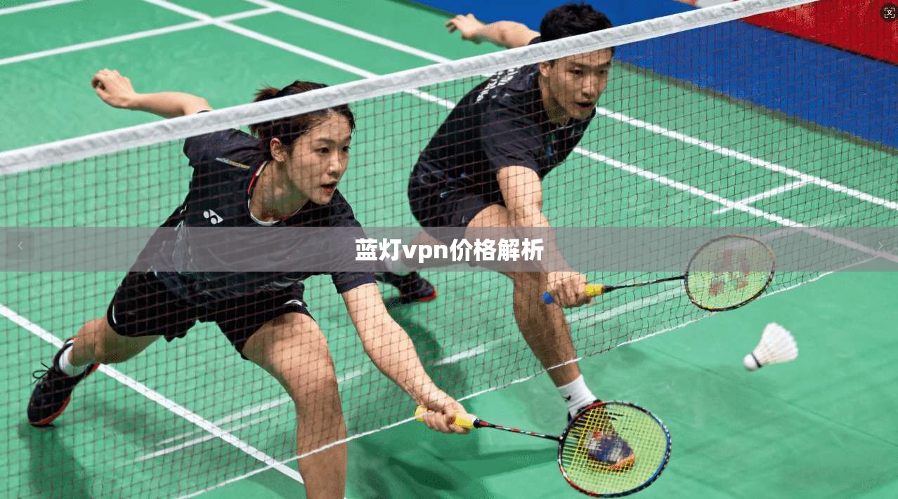 蓝灯vpn价格解析