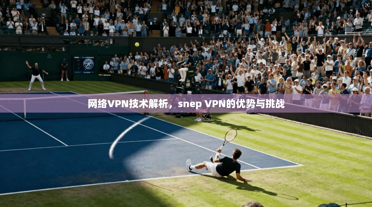 网络VPN技术解析，snep VPN的优势与挑战