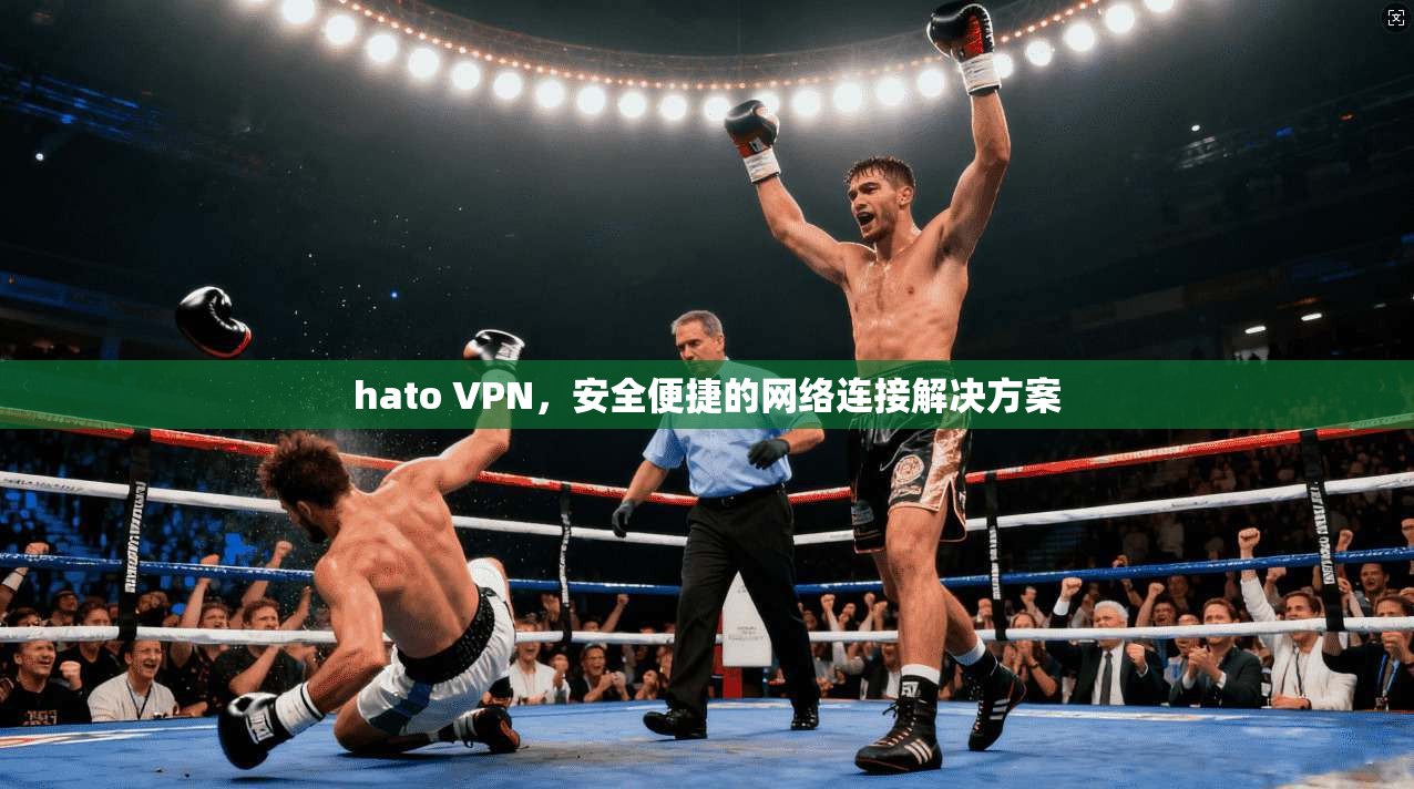 hato VPN,安全便捷的网络连接解决方案