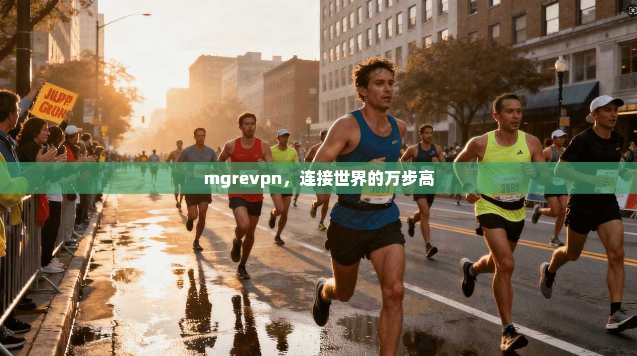 mgrevpn，连接世界的万步高