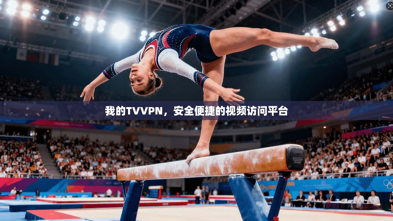 我的TVVPN,安全便捷的视频访问平台