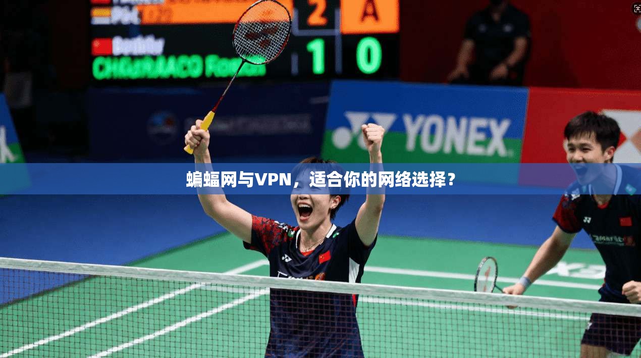 蝙蝠网与VPN,适合你的网络选择?