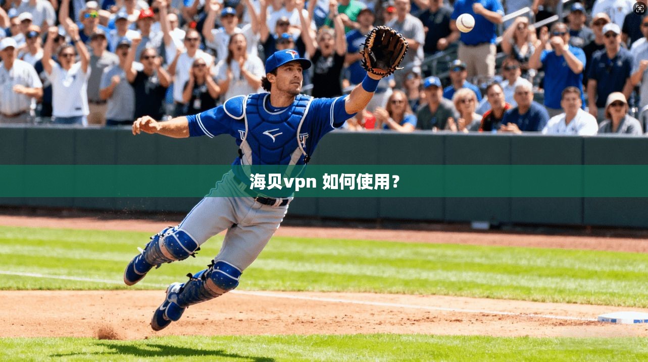海贝vpn 如何使用？  第1张