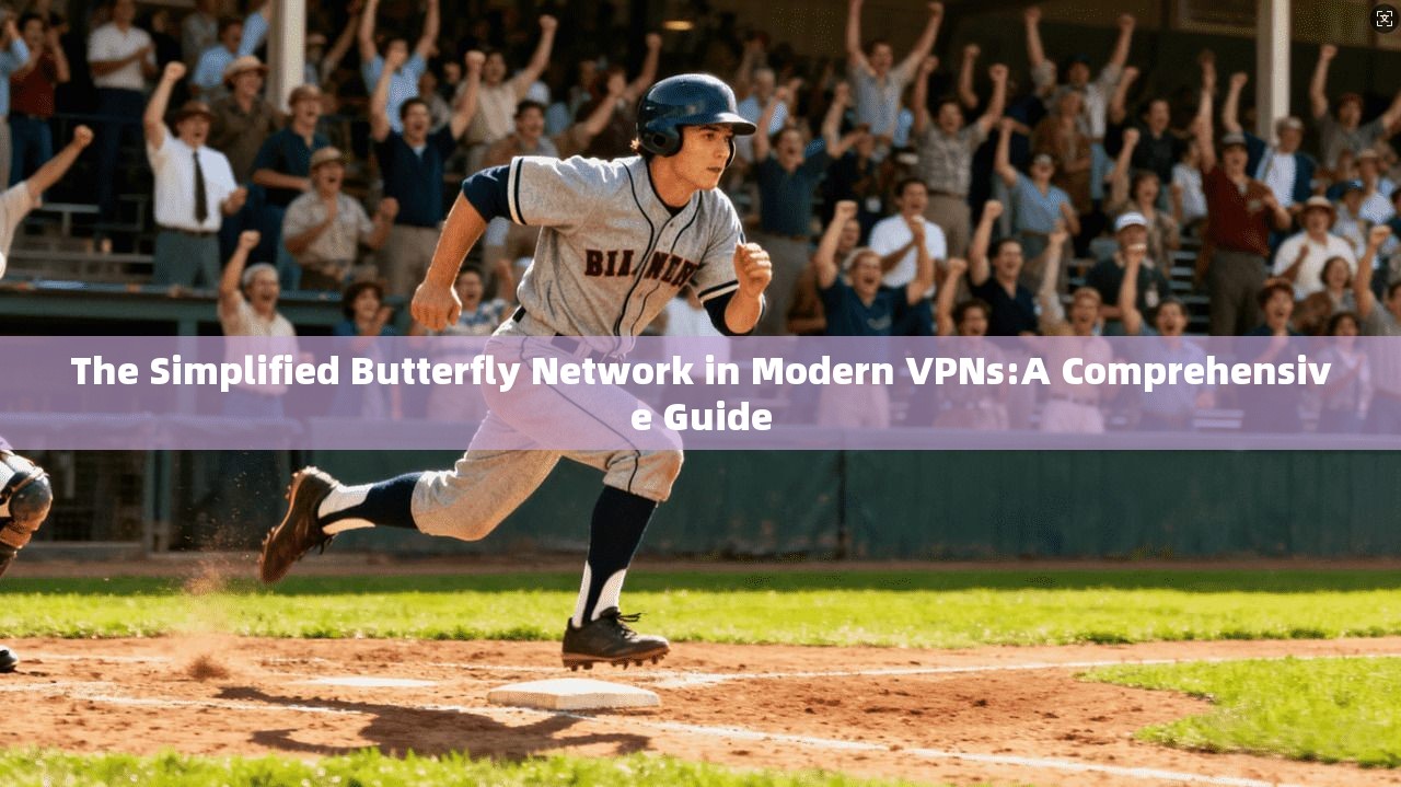 The Simplified Butterfly Network in Modern VPNs:A Comprehensive Guide  第1张
