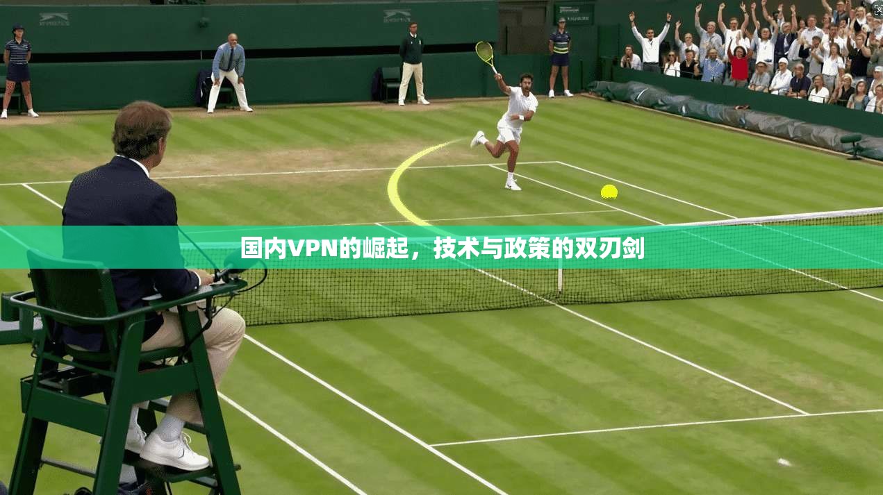 国内VPN的崛起,技术与政策的双刃剑