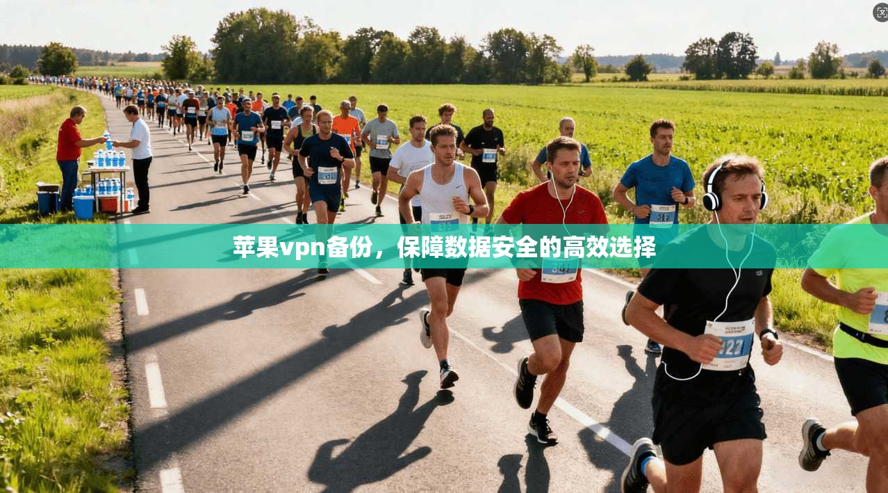 苹果vpn备份，保障数据安全的高效选择