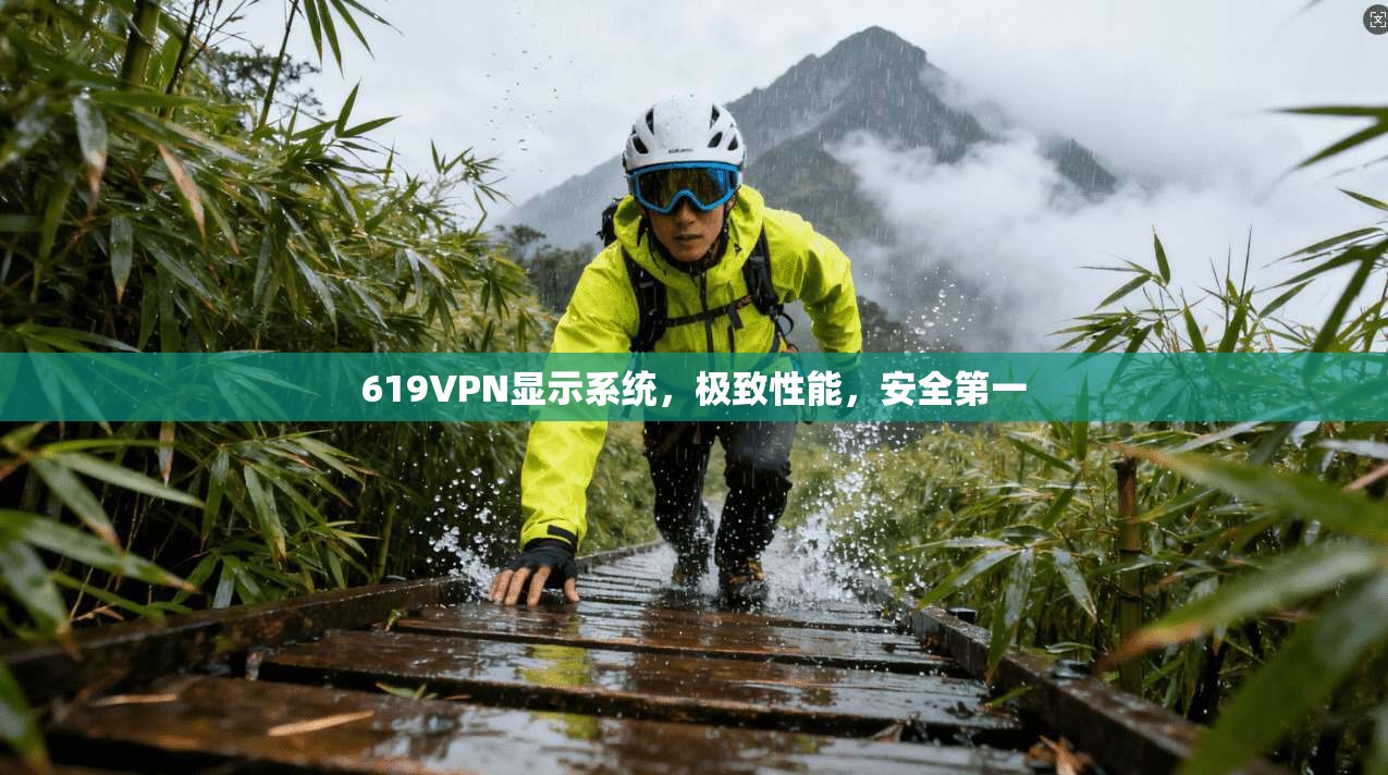 619VPN显示系统，极致性能，安全第一