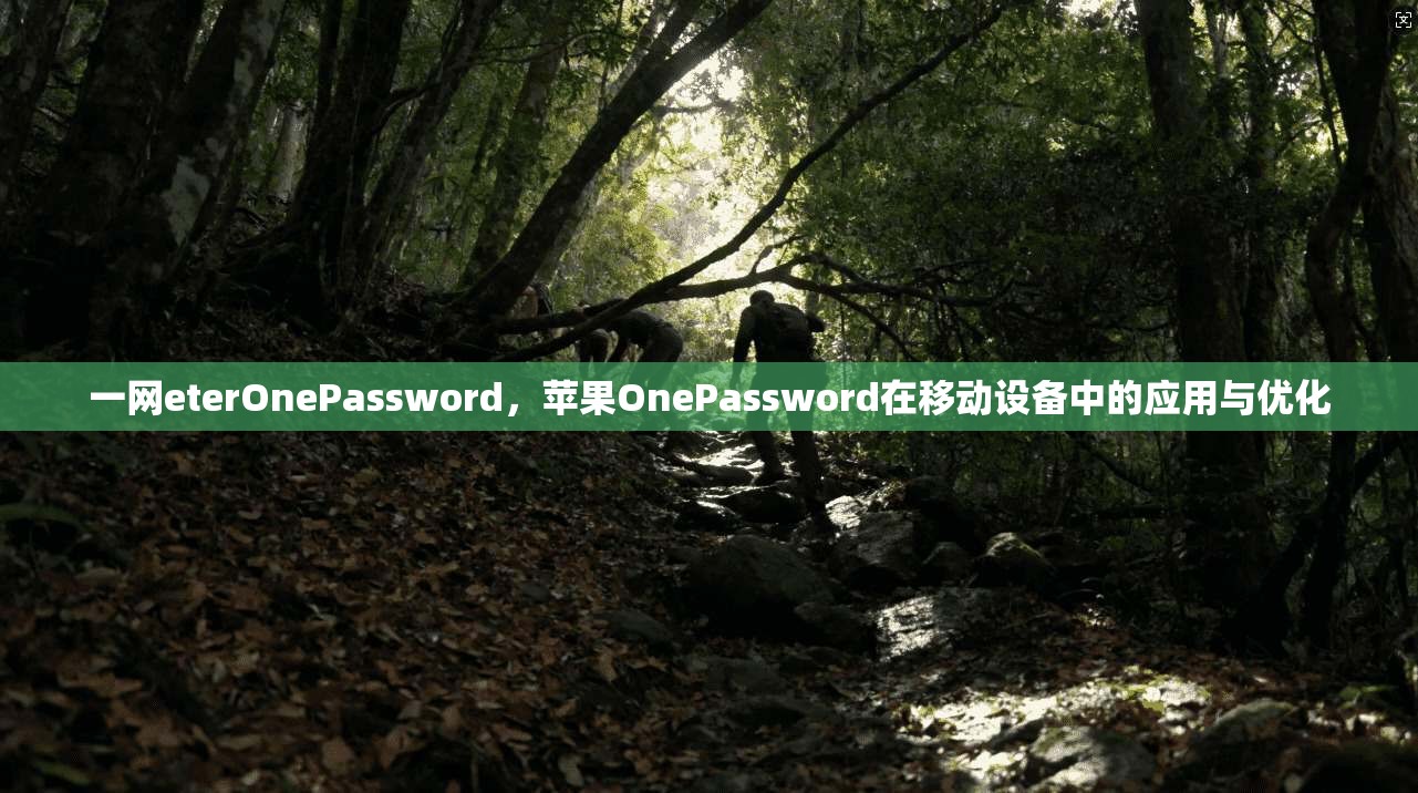 一网eterOnePassword，苹果OnePassword在移动设备中的应用与优化
