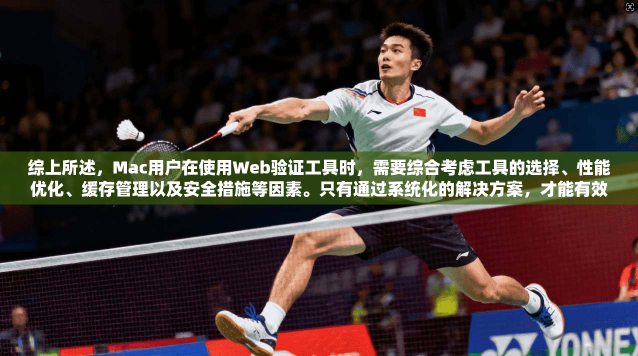 综上所述，Mac用户在使用Web验证工具时，需要综合考虑工具的选择、性能优化、缓存管理以及安全措施等因素。只有通过系统化的解决方案，才能有效提升Web验证效率和安全性，为用户提供更安全、更可靠的服务