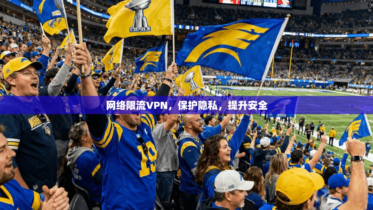 网络限流VPN，保护隐私，提升安全
