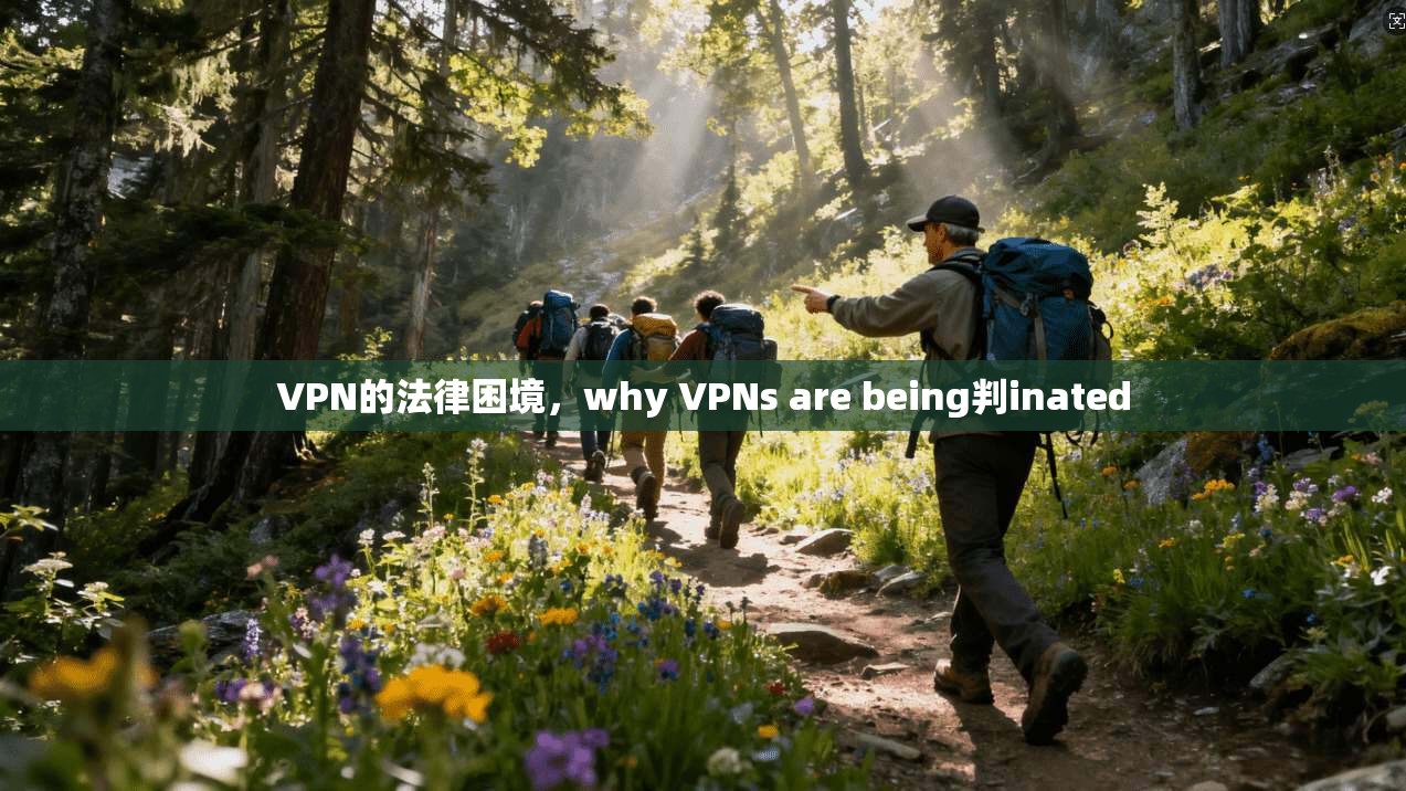 VPN的法律困境，why VPNs are being判inated