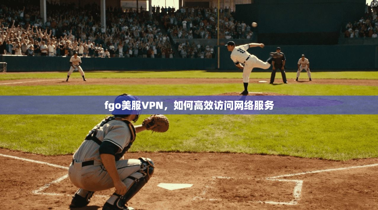 fgo美服VPN，如何高效访问网络服务