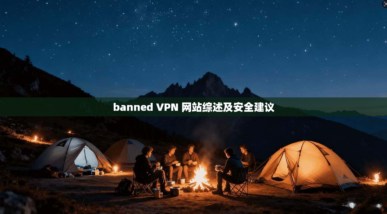 banned VPN 网站综述及安全建议