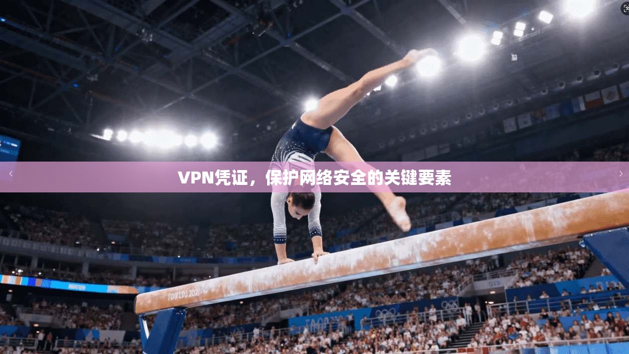 VPN凭证,保护网络安全的关键要素