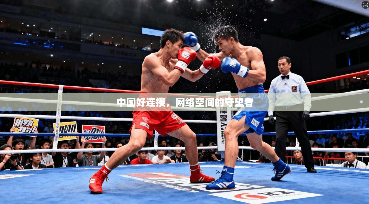 中国好连接，网络空间的守望者