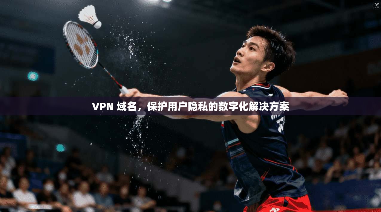 VPN 域名，保护用户隐私的数字化解决方案