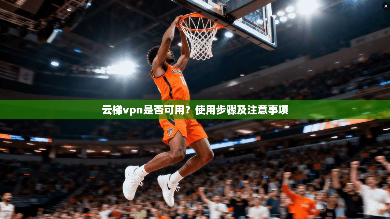 云梯vpn是否可用？使用步骤及注意事项