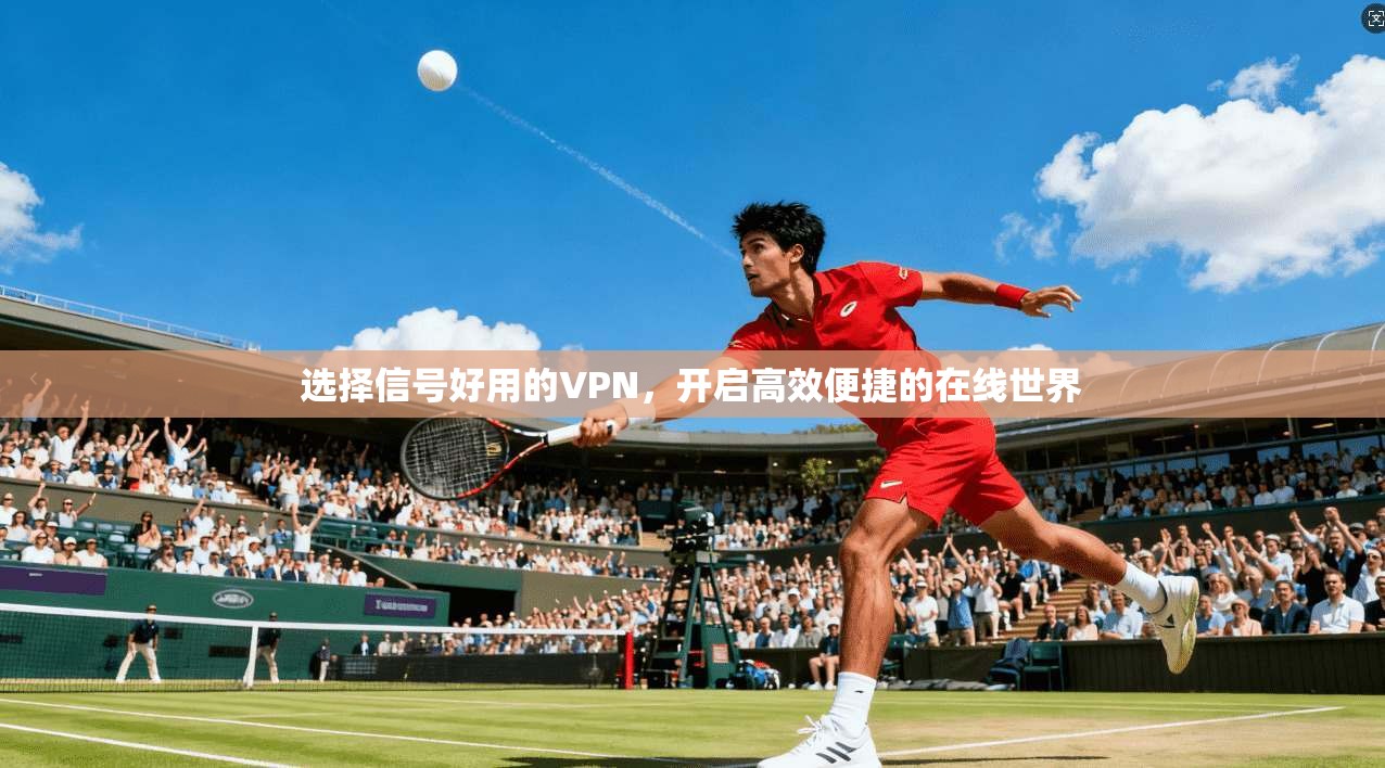选择信号好用的VPN，开启高效便捷的在线世界