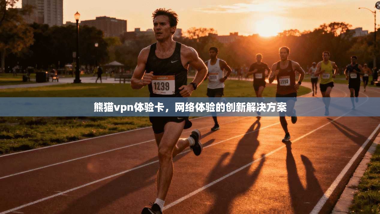 熊猫vpn体验卡，网络体验的创新解决方案