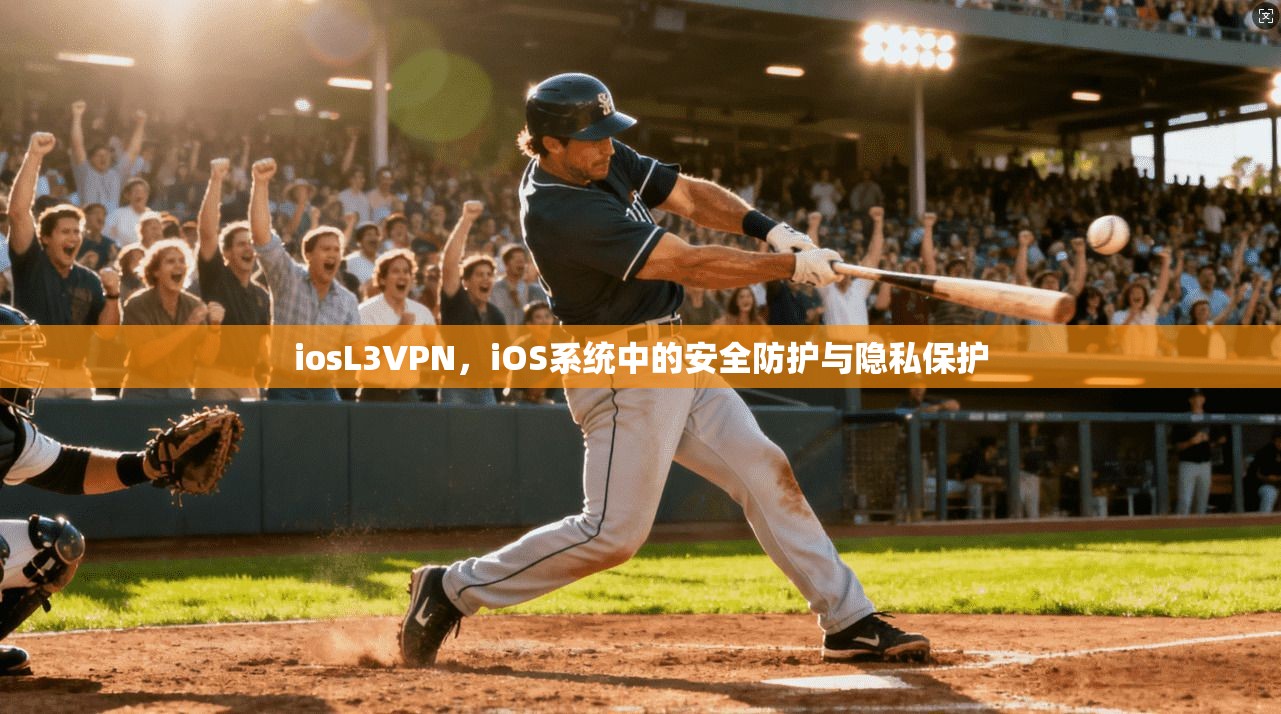 iosL3VPN，iOS系统中的安全防护与隐私保护