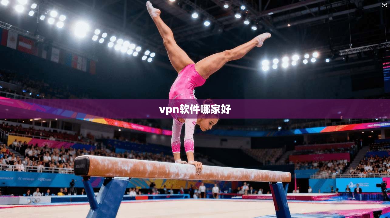 vpn软件哪家好