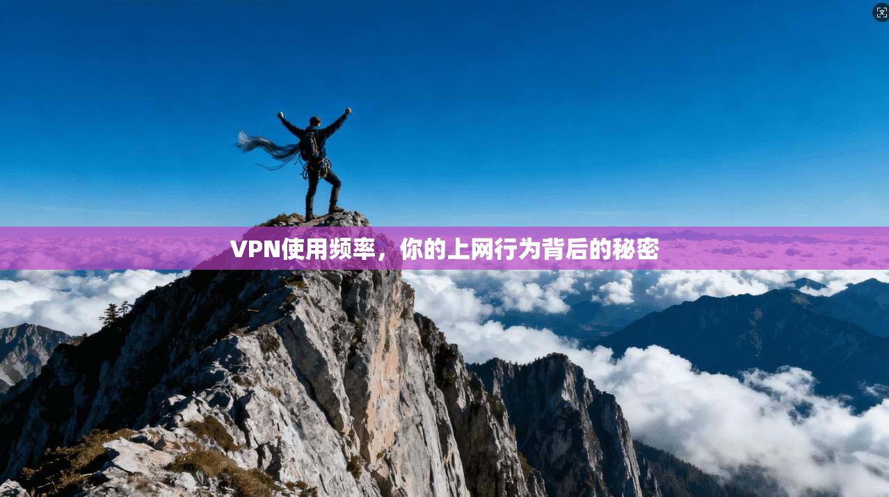 VPN使用频率，你的上网行为背后的秘密