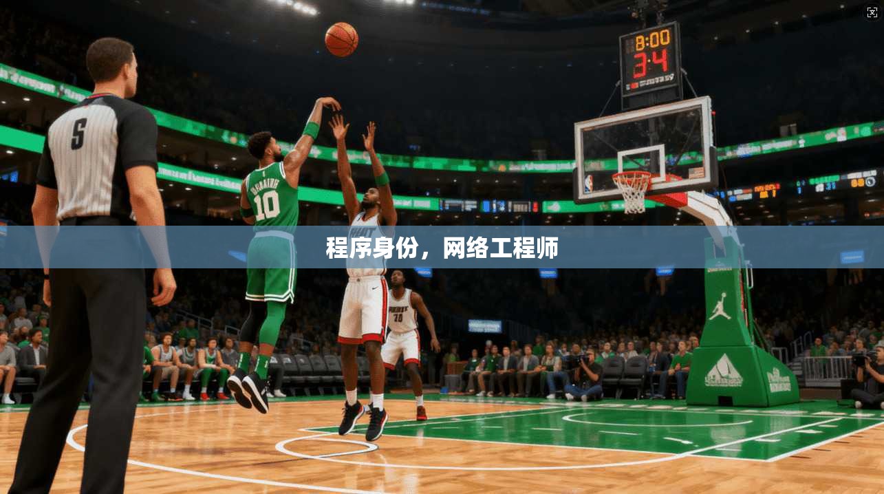 程序身份，网络工程师