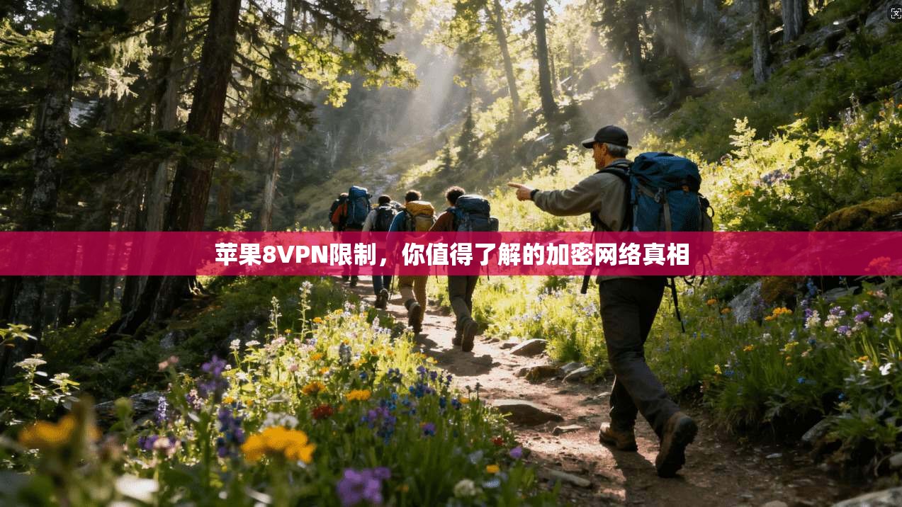 苹果8VPN限制，你值得了解的加密网络真相