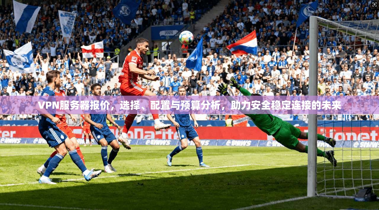 VPN服务器报价，选择、配置与预算分析，助力安全稳定连接的未来