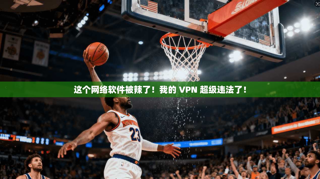 这个网络软件被辣了！我的 VPN 超级违法了！