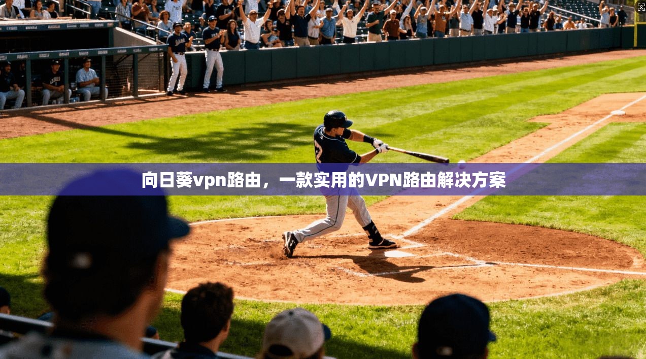 向日葵vpn路由，一款实用的VPN路由解决方案