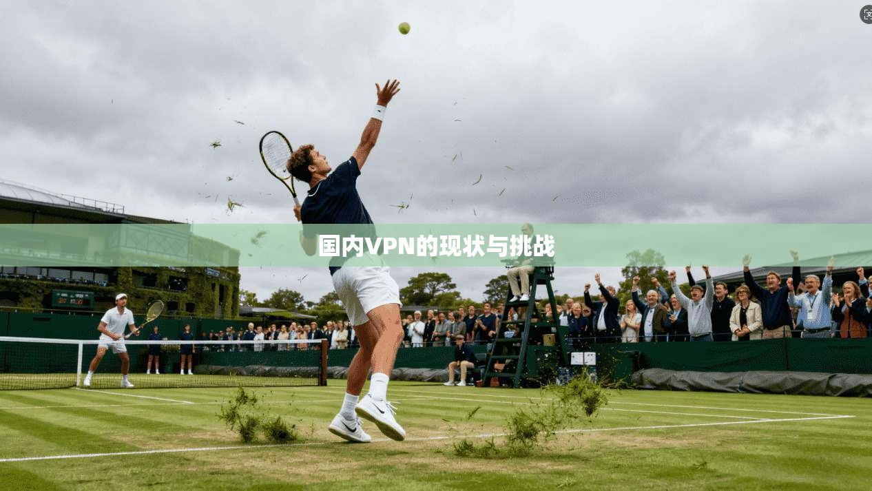 国内VPN的现状与挑战