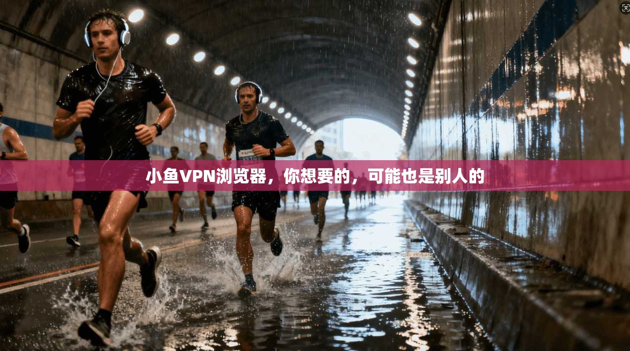 小鱼VPN浏览器，你想要的，可能也是别人的