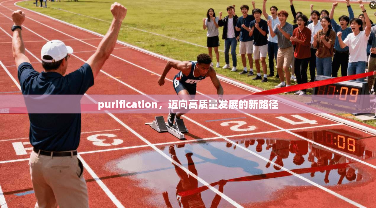 purification，迈向高质量发展的新路径