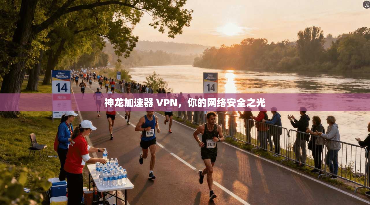 神龙加速器 VPN，你的网络安全之光