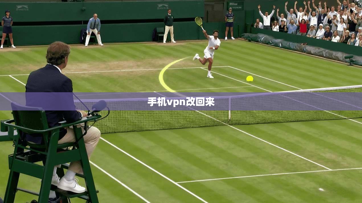 手机vpn改回来