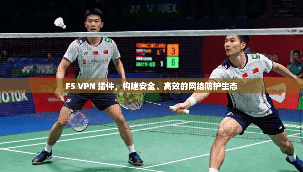 F5 VPN 插件，构建安全、高效的网络防护生态