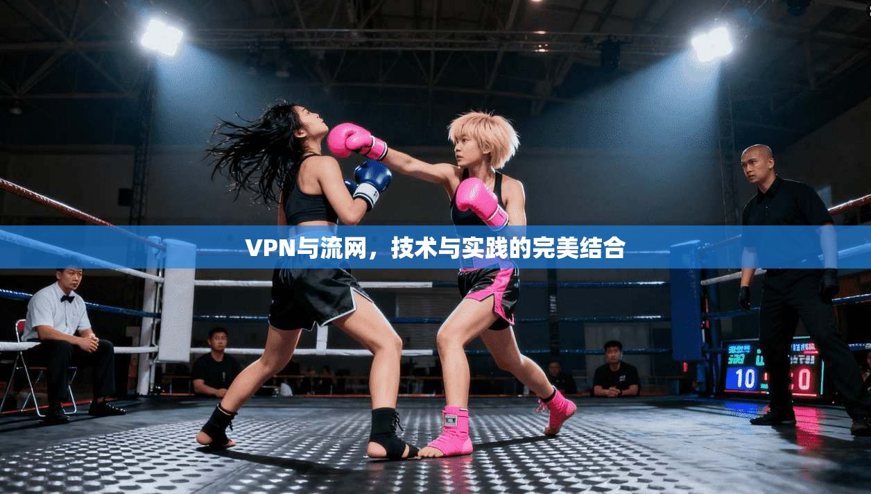 VPN与流网，技术与实践的完美结合