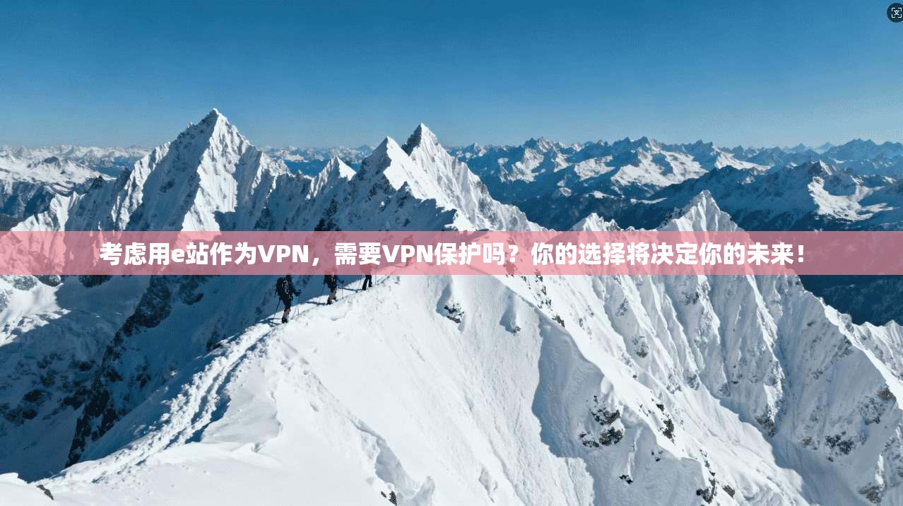 考虑用e站作为VPN，需要VPN保护吗？你的选择将决定你的未来！