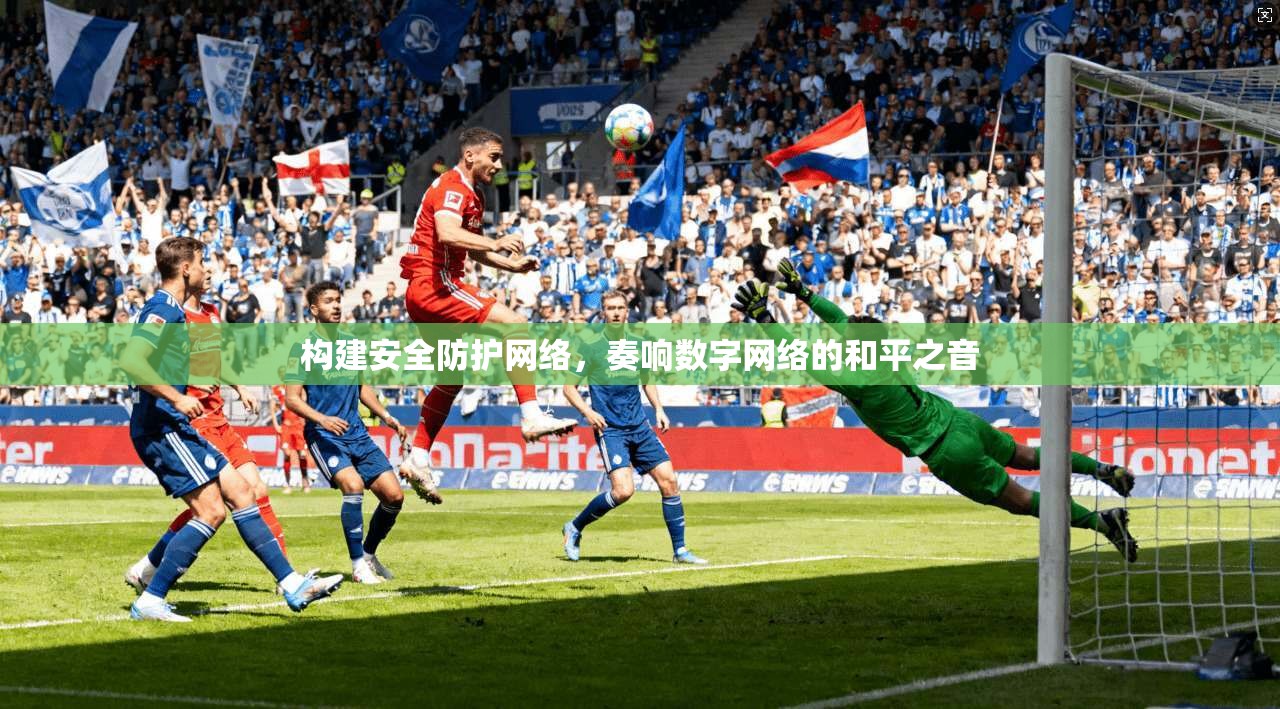 构建安全防护网络，奏响数字网络的和平之音